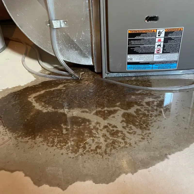 Pipe Burst and Leak Restoration in Lyman, WY