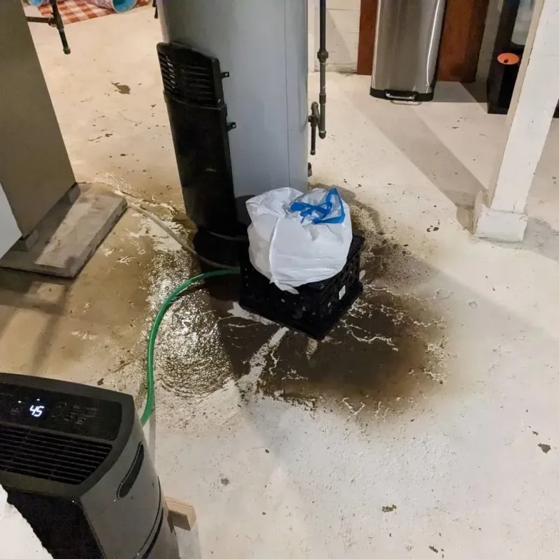 Sewage Backup Cleanup Service in Lyman, WY
